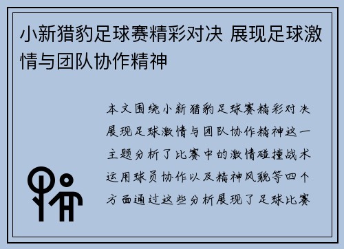 小新猎豹足球赛精彩对决 展现足球激情与团队协作精神